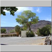 07- Oasis.jpg