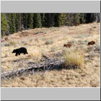 14- Mother with two cubs.jpg