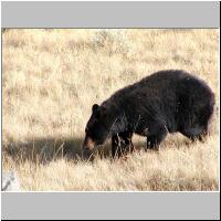 15- Mother.jpg