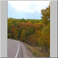 06- Red trees.jpg