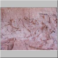01- Dinosaur bones 1.jpg